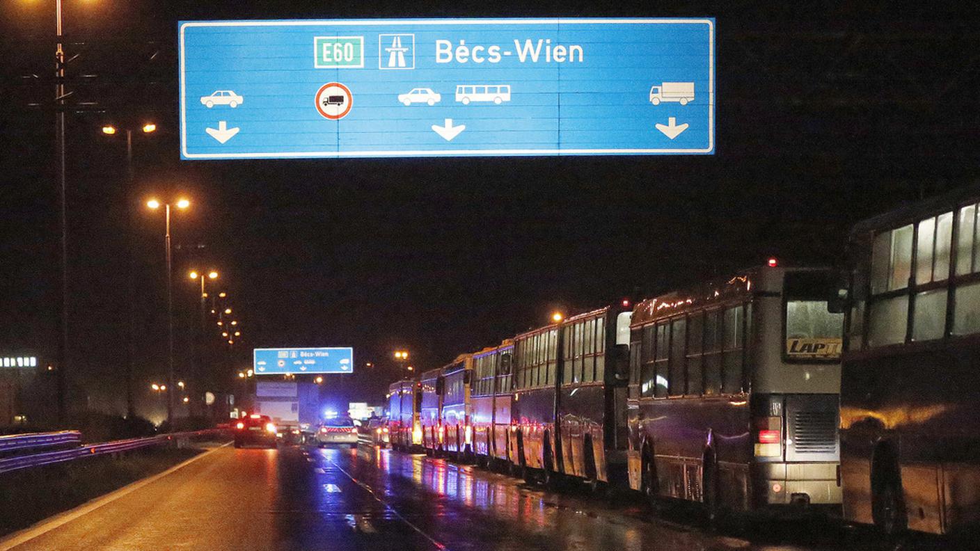 Decine di mezzi per raccoglierli lungo l'autostrada