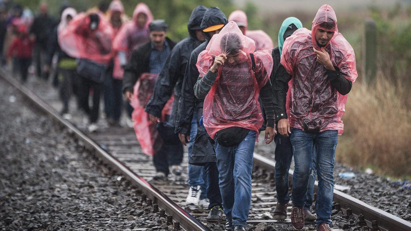 Migranti marciano sotto la pioggia al confine tra Serbia e Ungheria