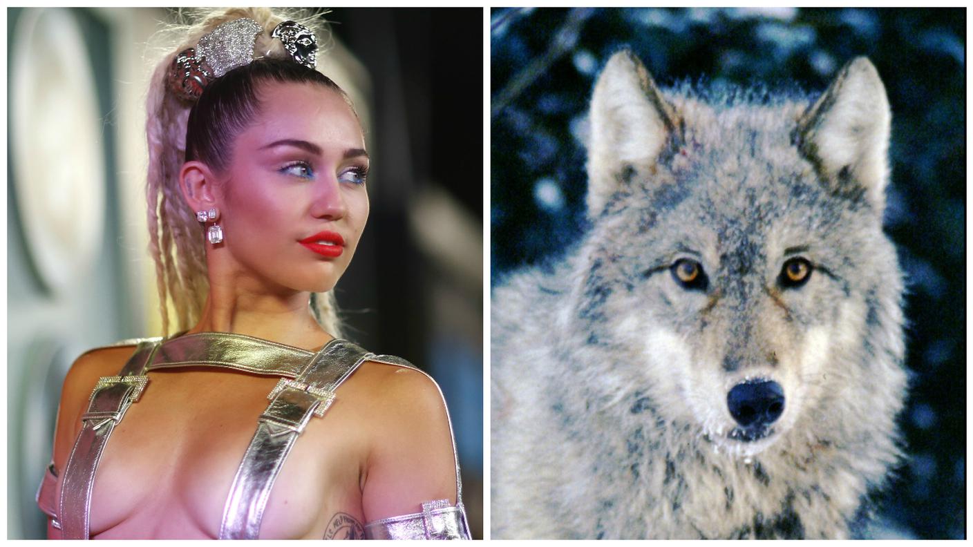 "So che la scienza è dalla mia parte", ha detto la pop star