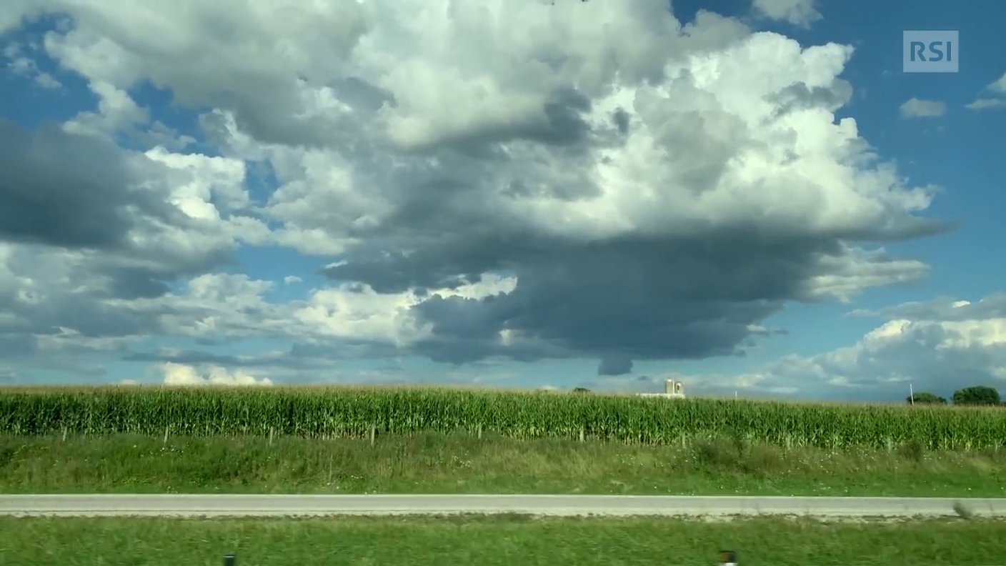 I campi del Wisconsin