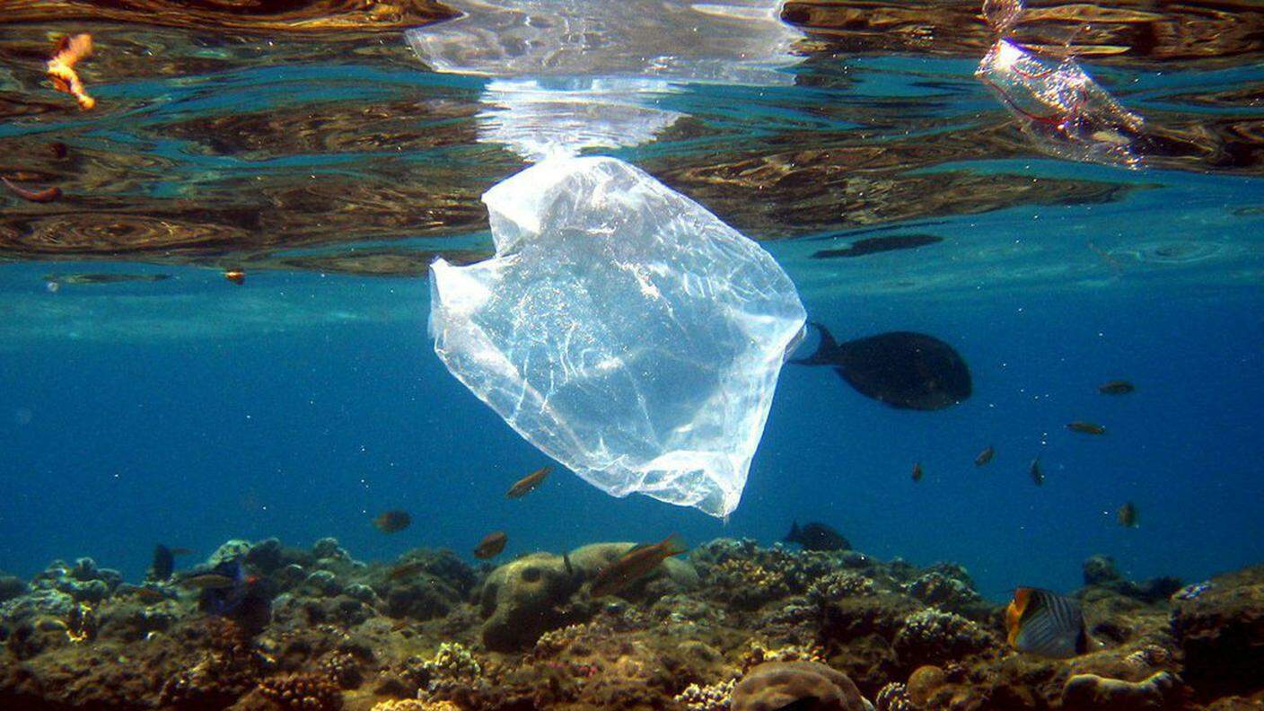Il 95% dei rifiuti galleggianti è costituito da plastica