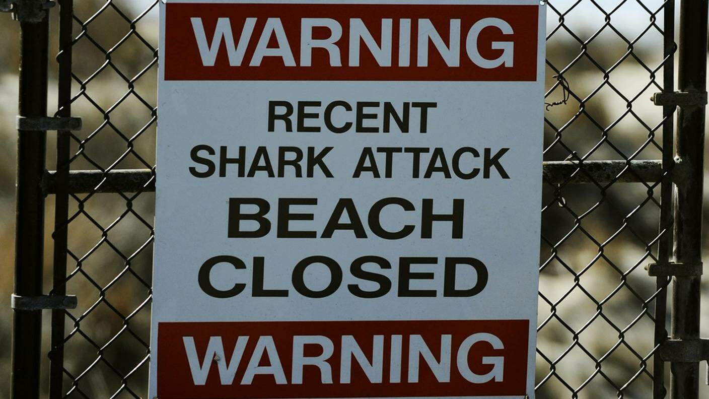 I cartelli non bastano a fermare gli squali a East Ballina