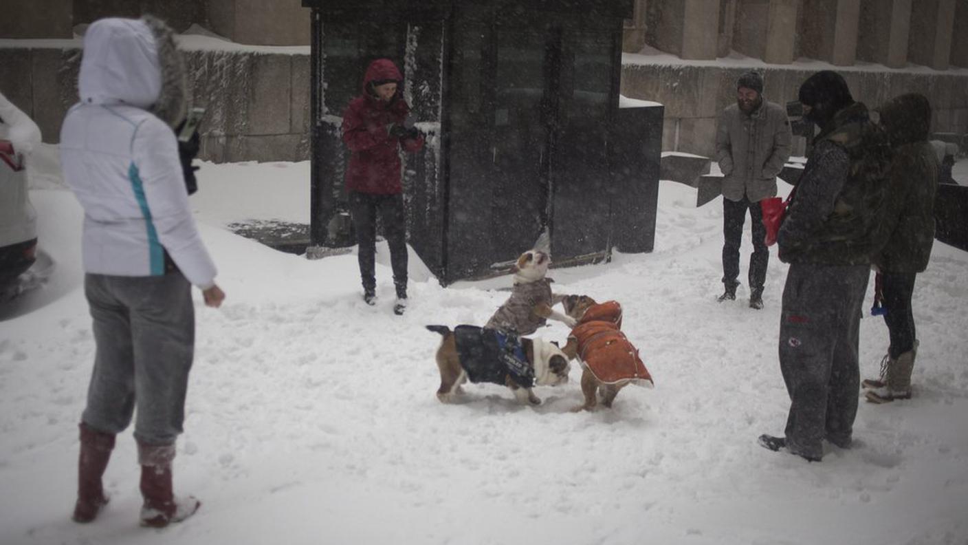 New York bloccata da oltre mezzo metro di neve