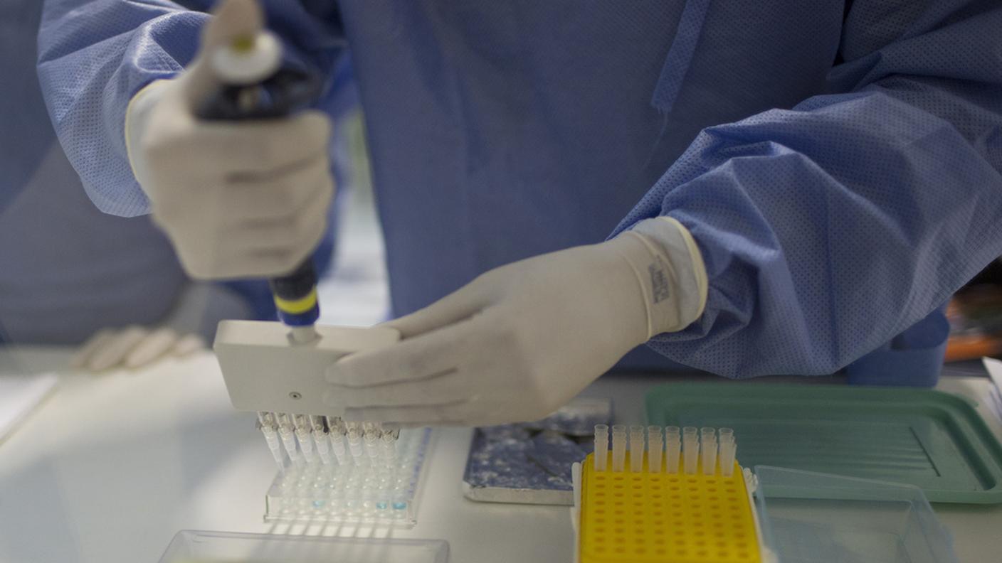 Sulle modalità di trasmissione la documentazione è ancora scarsa
