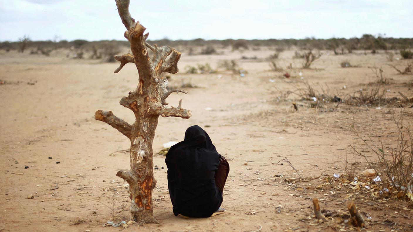 Le fluttuazioni dei prezzi si spiegano soprattutto con motivi climatici, secondo i contrari