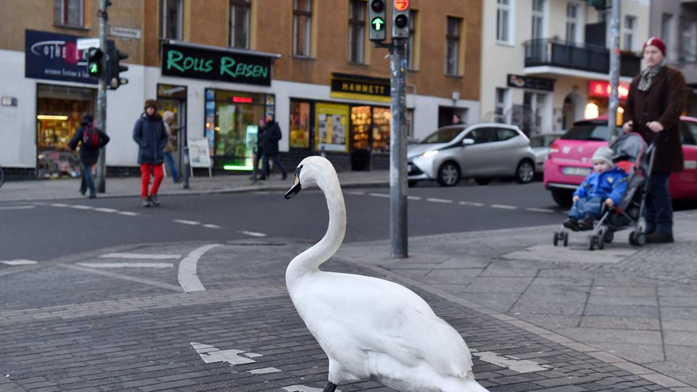 Tutti sembrano apprezzare una passeggiata a Kreuzberg