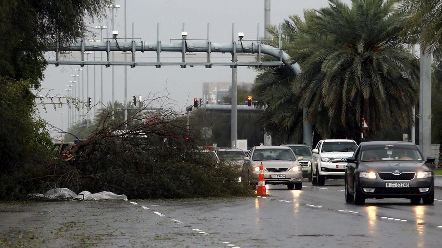 Alberi cadute, disagi al traffico