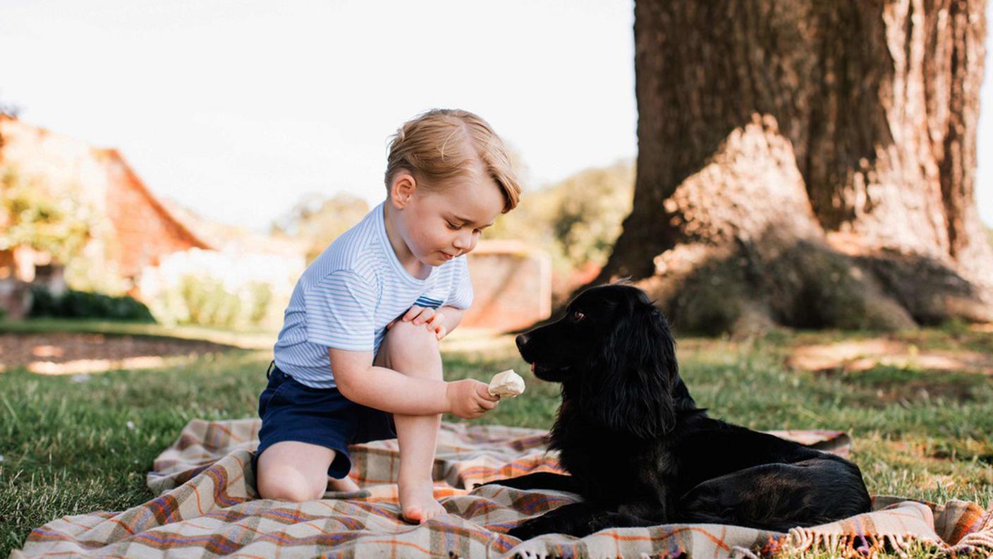 La foto sgradita agli animalisti