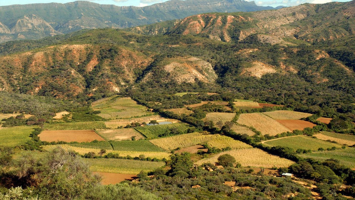 Coltivazioni in Bolivia