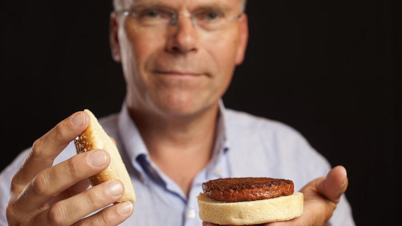Hamburger sintetico6, ky.JPG