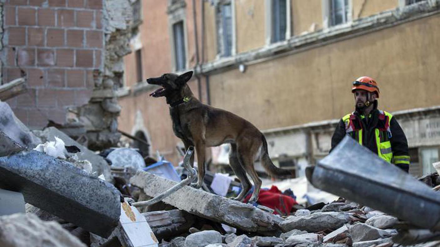 Tra la macerie non solo soccorritori