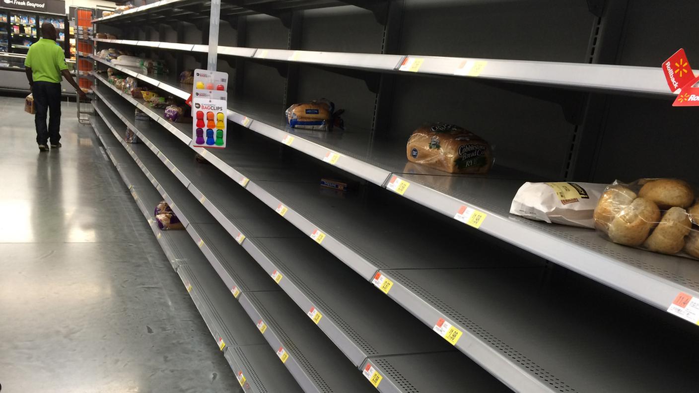 Florida2.JPG