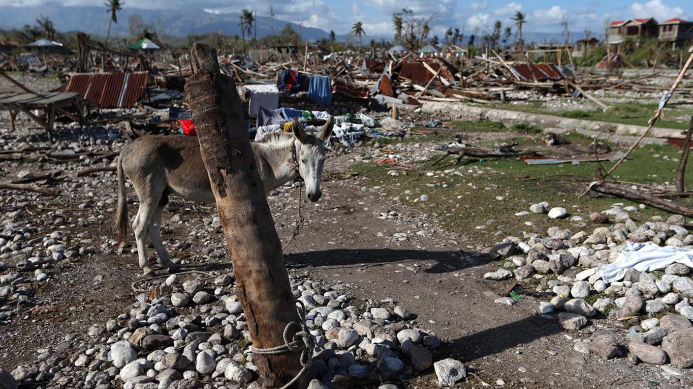 Haiti devastato da Matthew è a rischio colera