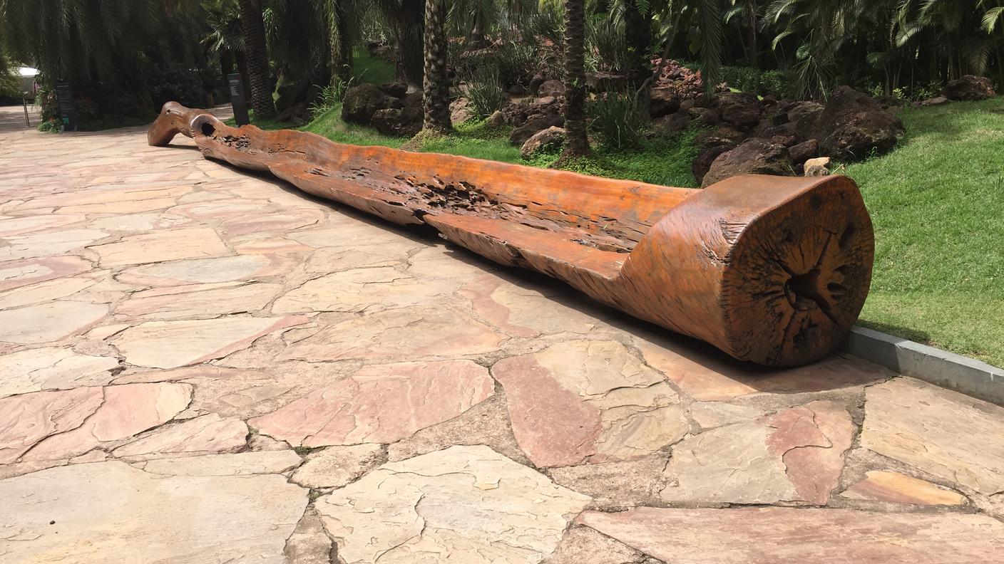 I BANCHI DI LEGNO DELL'ARTISTA BRASILIANO HUGO FRANCA. AD INHOTIM CE NE SONO 98, SPARSI IN TUTTO IL PARCO 