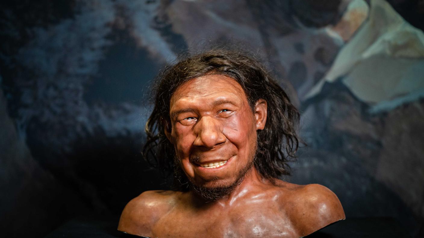 Una ricostruzione del Neanderthal, soprannominato Krijn, al Museo Nazionale delle Antichità di Leiden, Paesi Bassi