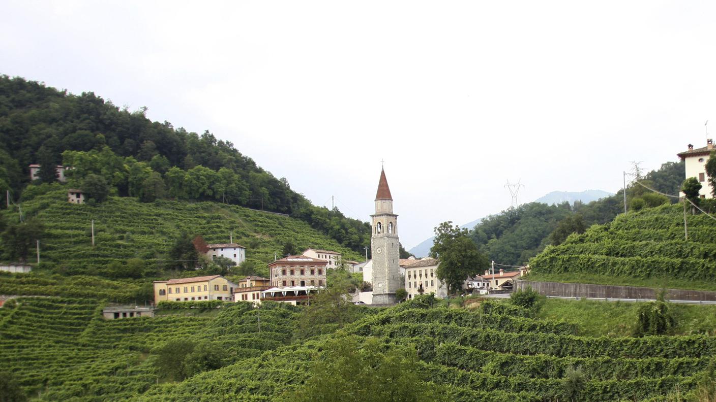 Uno scorcio dei vigneti di Valdobbiadene