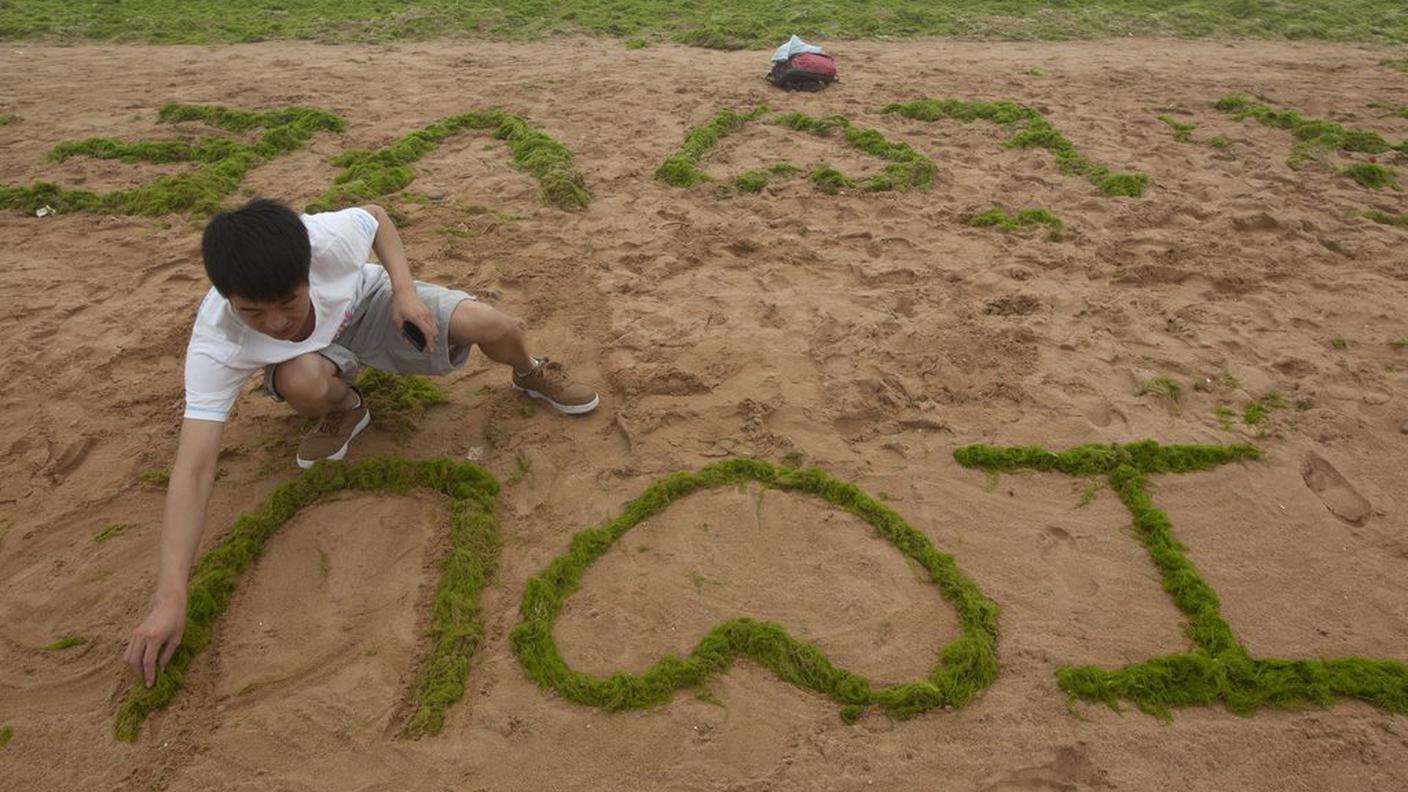 quingdao alghe 5. luglio 2013 ky.JPG
