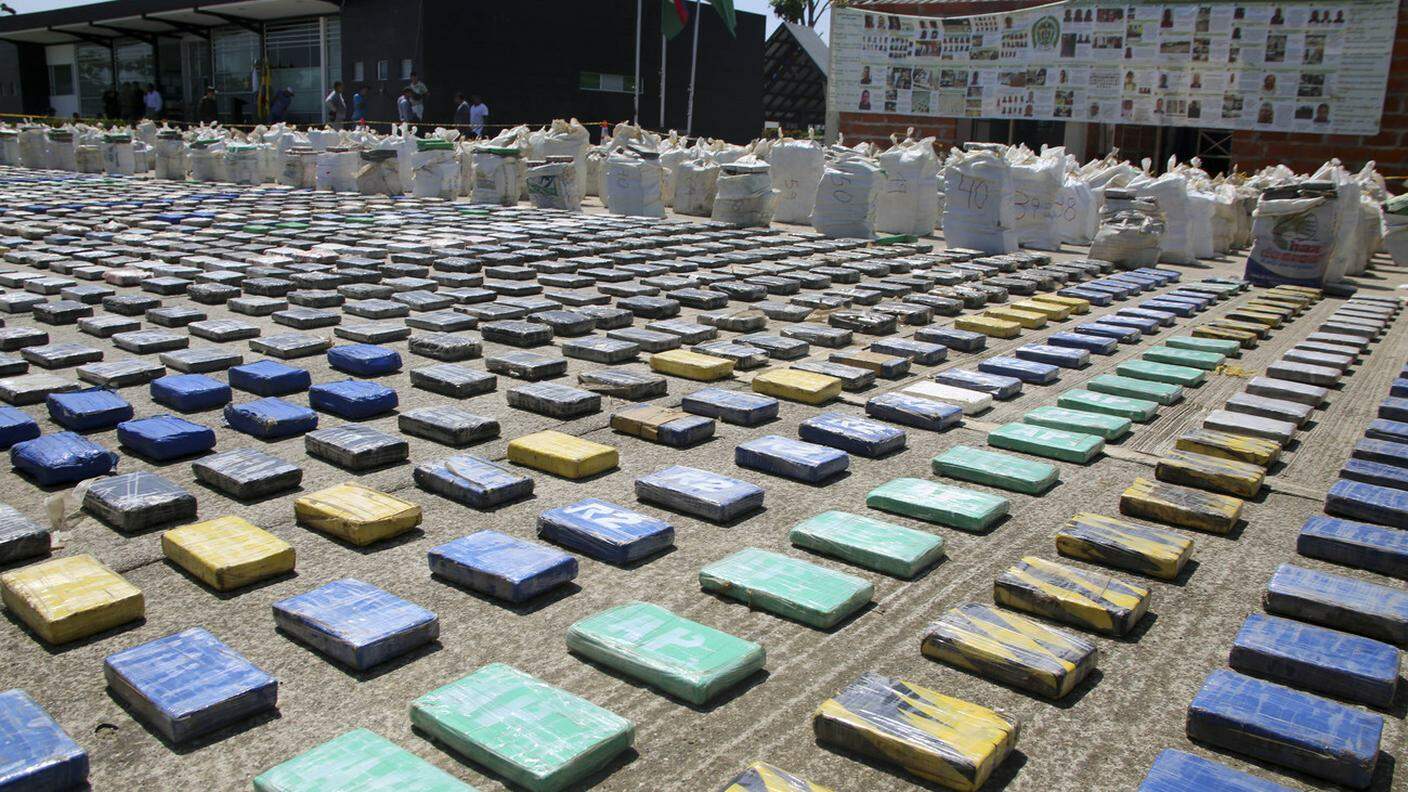8 tonnellate di cocaina sequestrate in a Turbo, in Colombia: un record