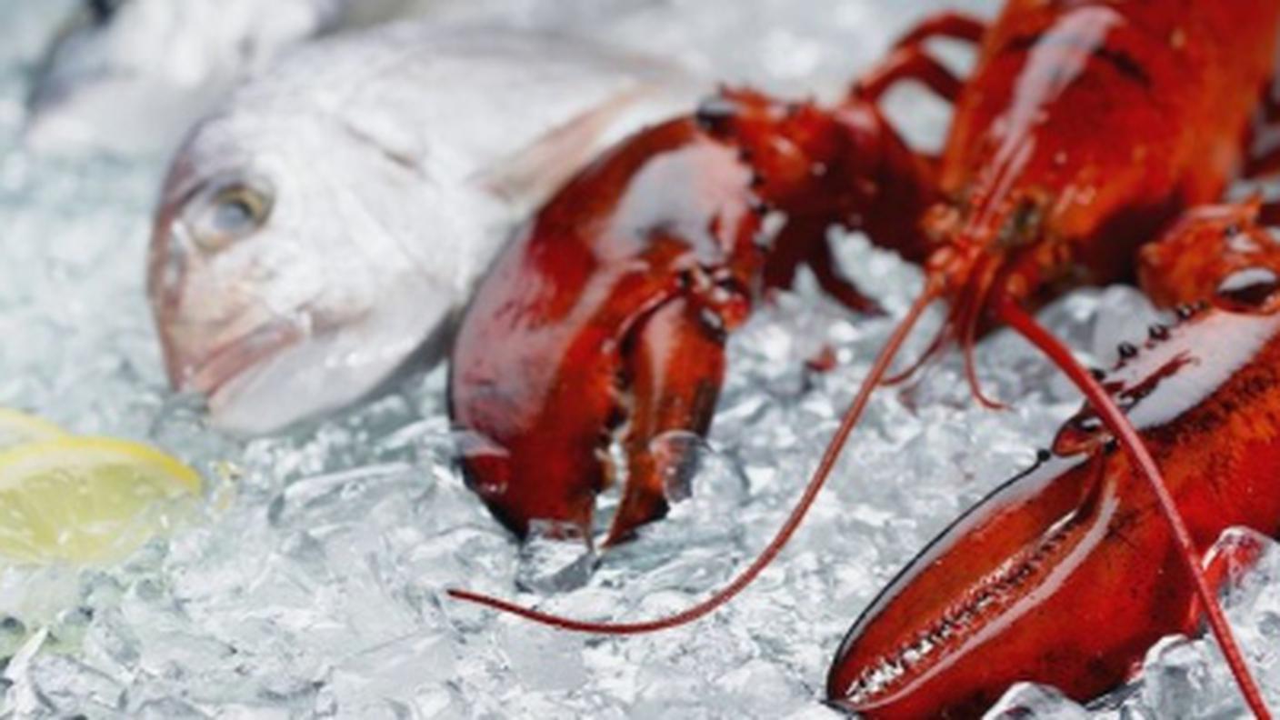 In Italia non si può più conservare i crostacei sotto ghiaccio
