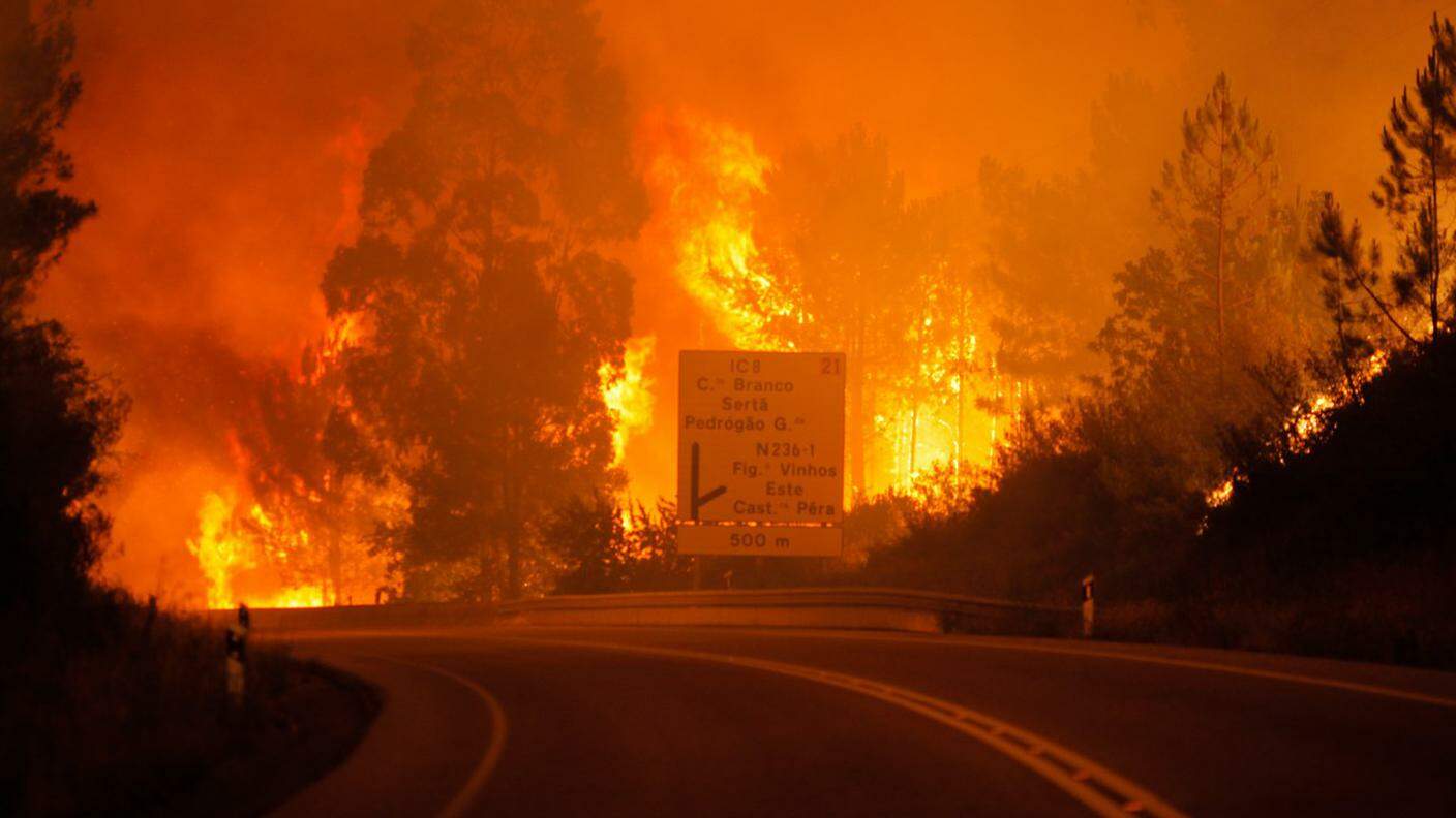 Incendio forestale in Portogallo