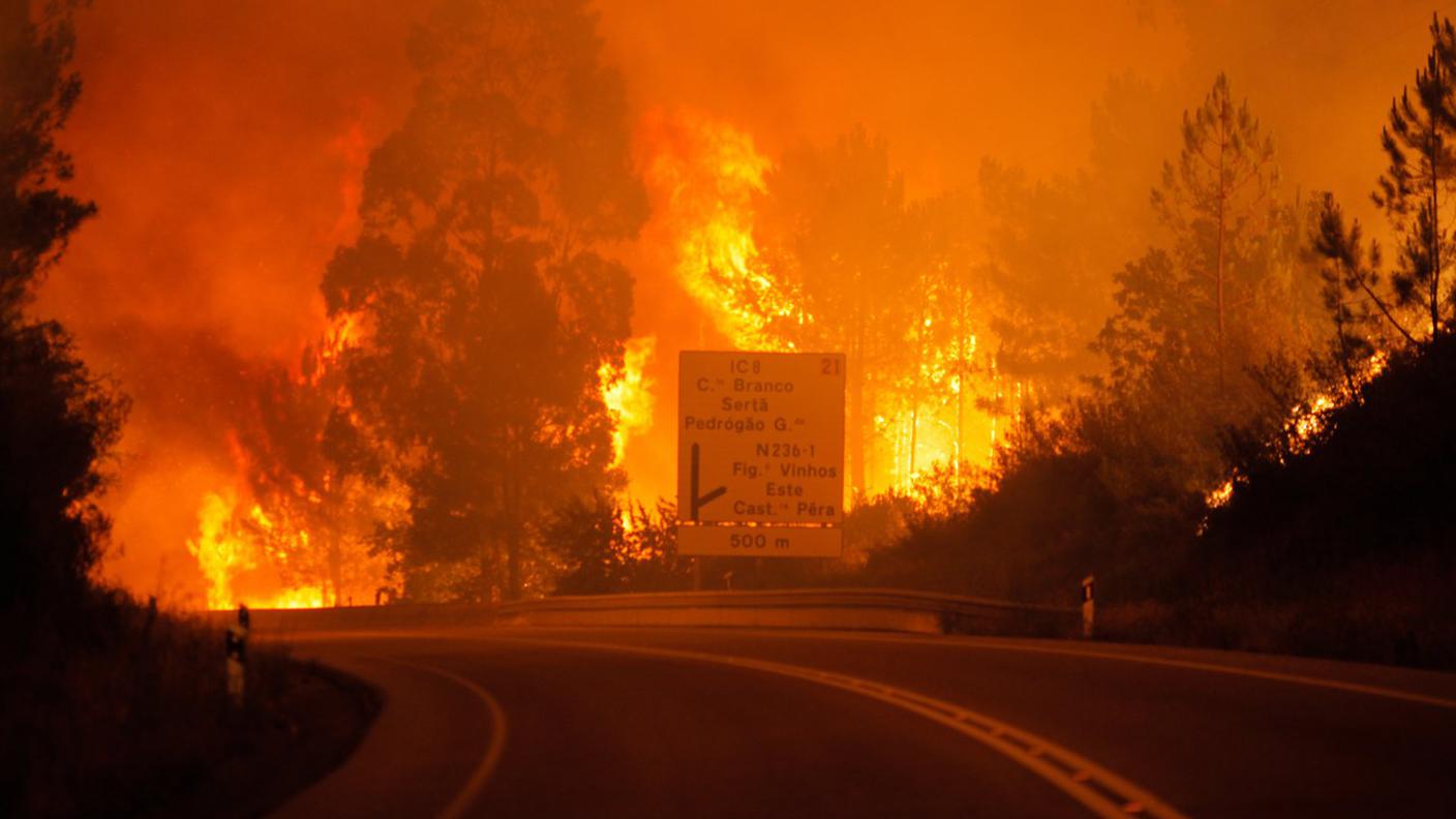 Incendio forestale in Portogallo