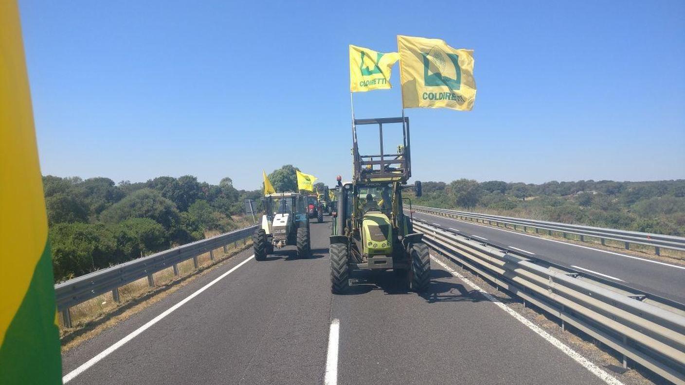 I contadini sardi hanno bloccato per protesta un'arteria basilare come la Statale 131