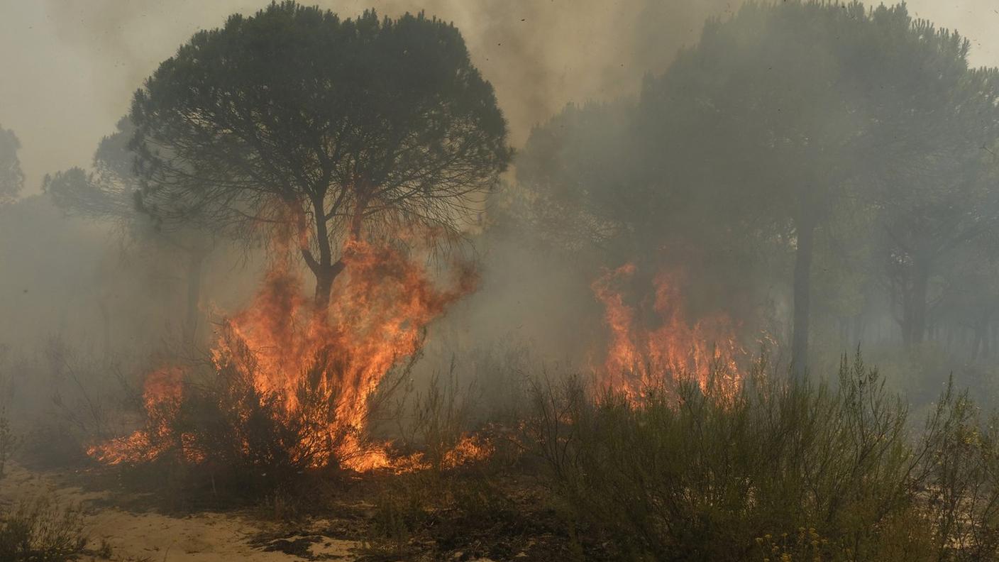 Il parco nazionale spagnolo dell'UNESCO, a Doñana, è in fiamme