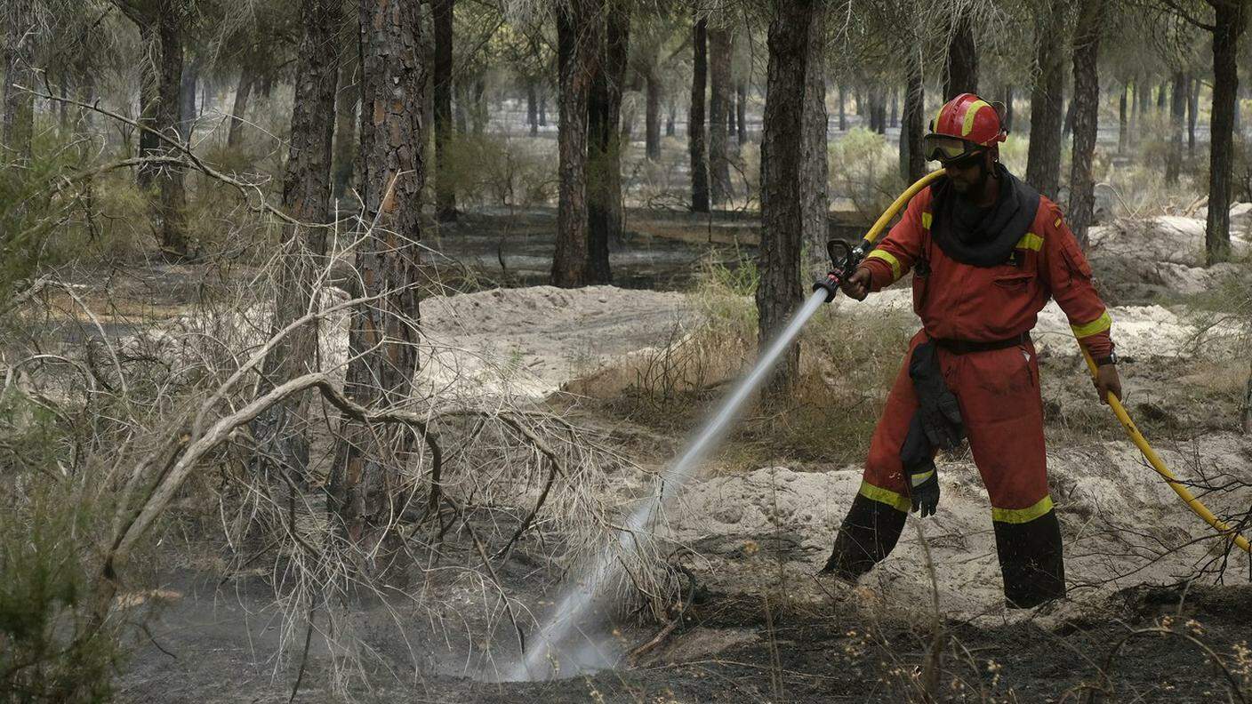 Il parco nazionale spagnolo dell'UNESCO, a Doñana, è in fiamme