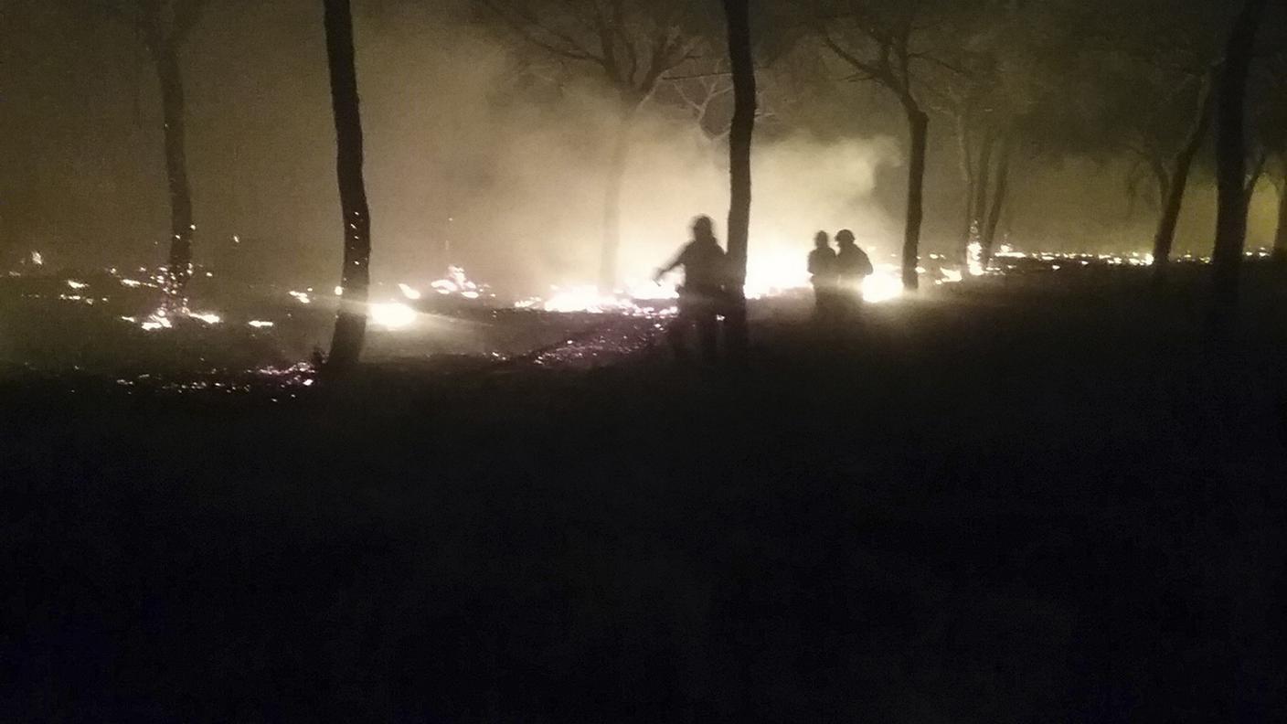 Il parco nazionale spagnolo dell'UNESCO, a Doñana, è in fiamme