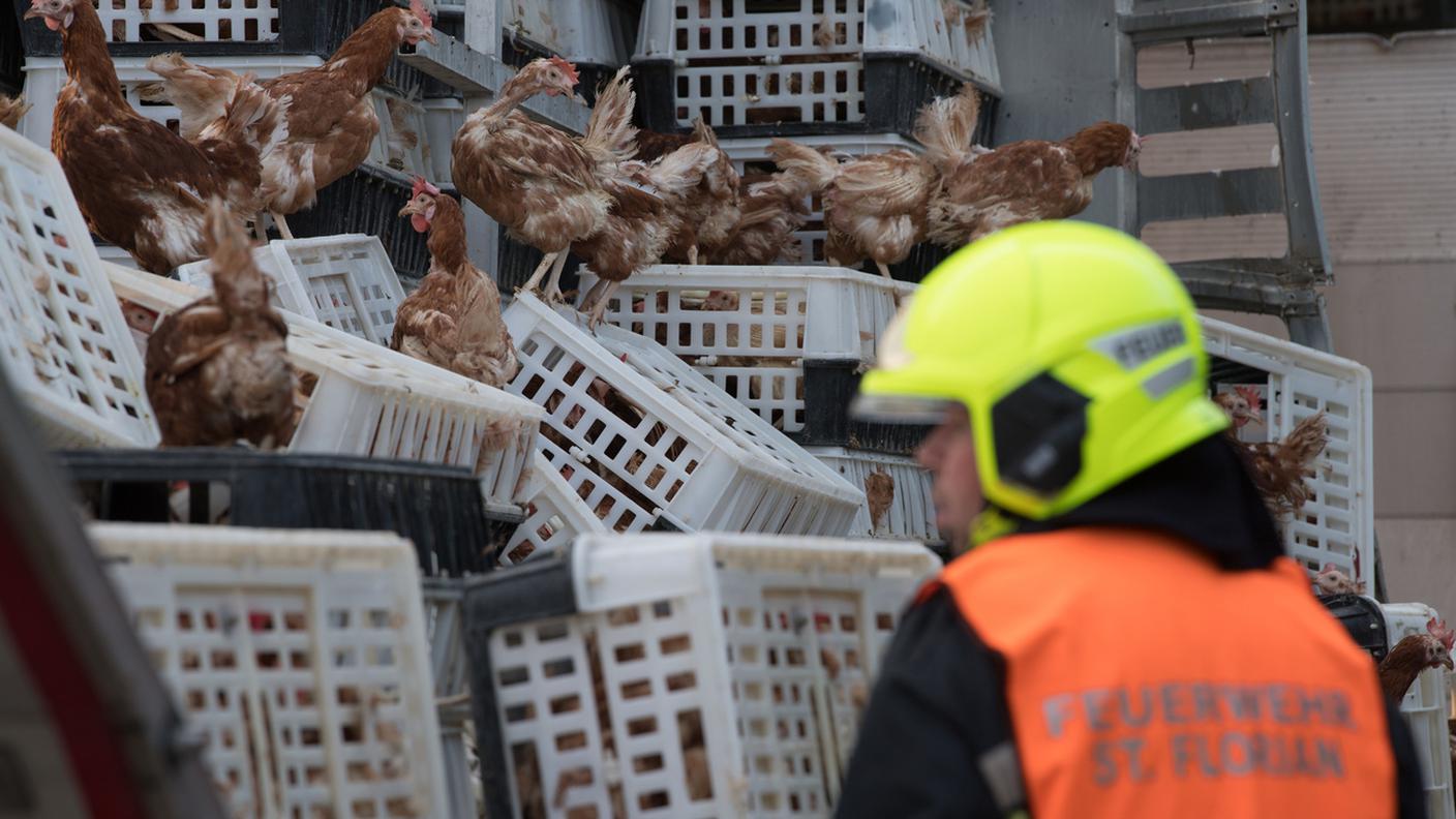 Non tutti hanno avuto il coraggio di allontanarsi dal camion