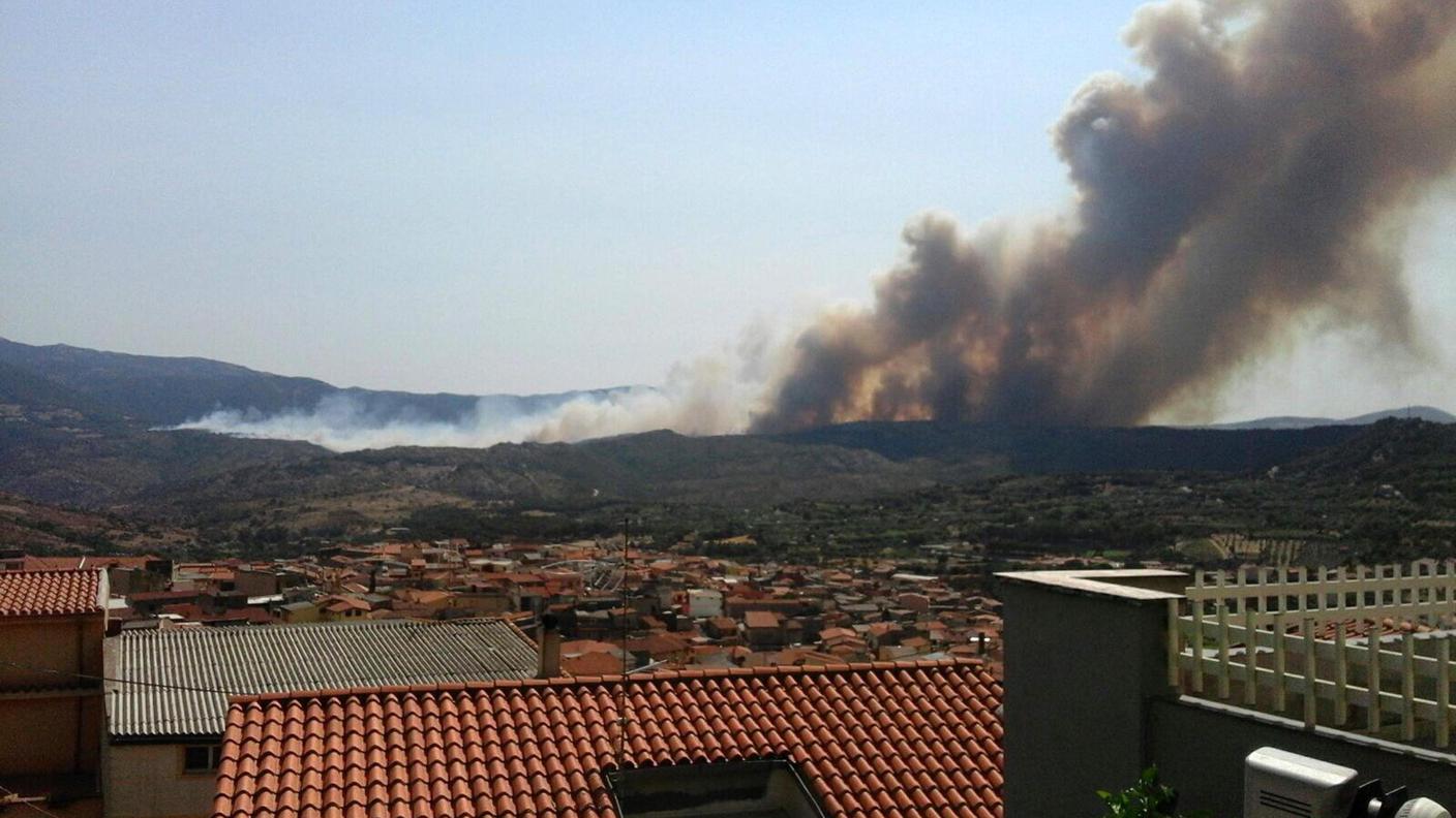 76'000 ettari di terreno distrutti da inizio anno