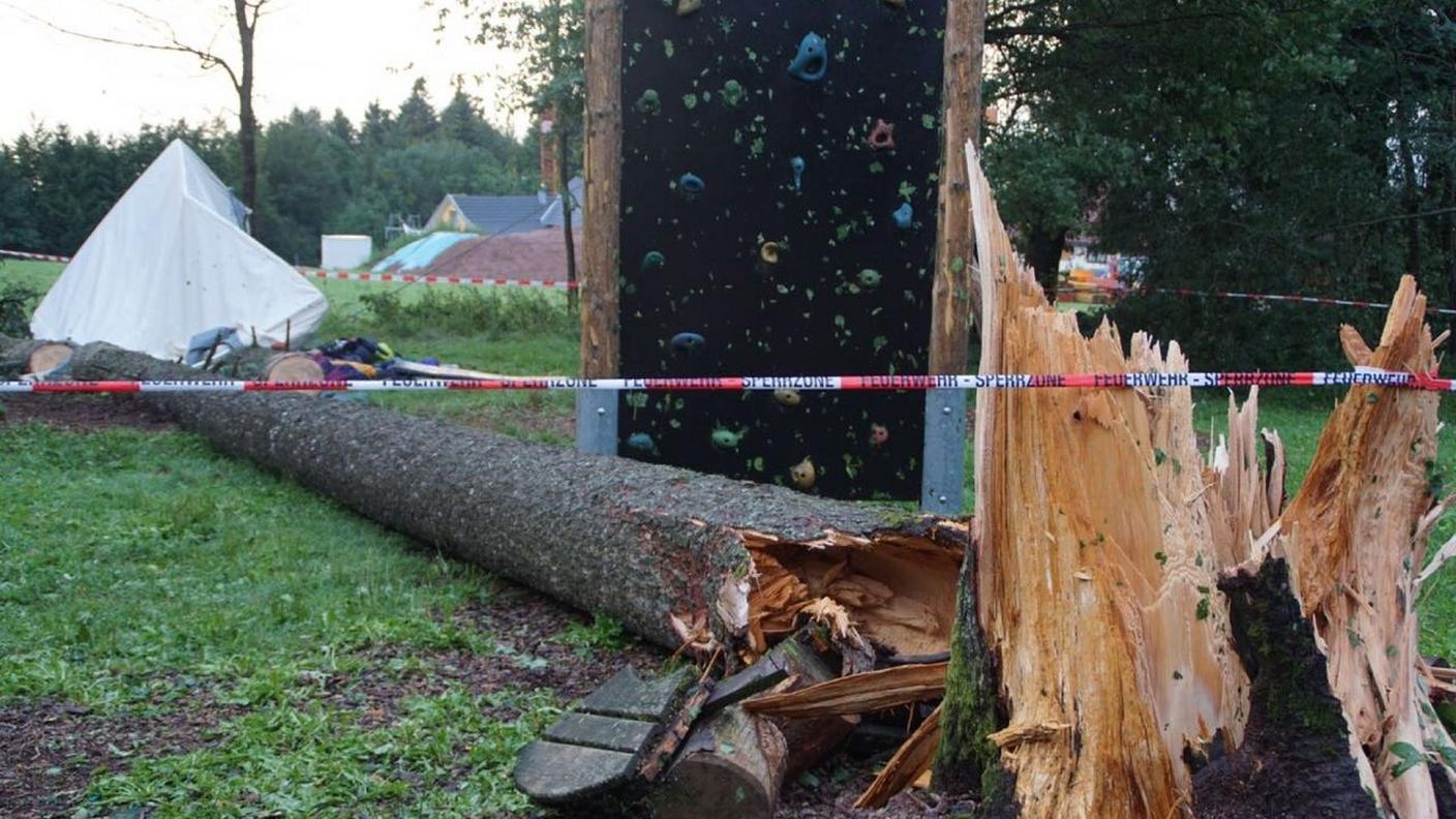 L'albero caduto a terra mercoledì notte, in Germania, ha ucciso un ragazzo