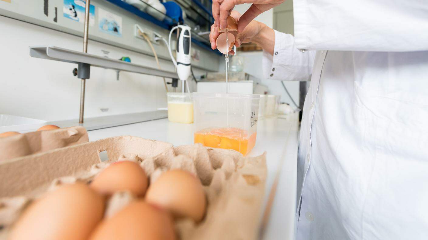Residui dell'insetticida Fipronil sono stati riscontrati anche in Svizzera in uova importate