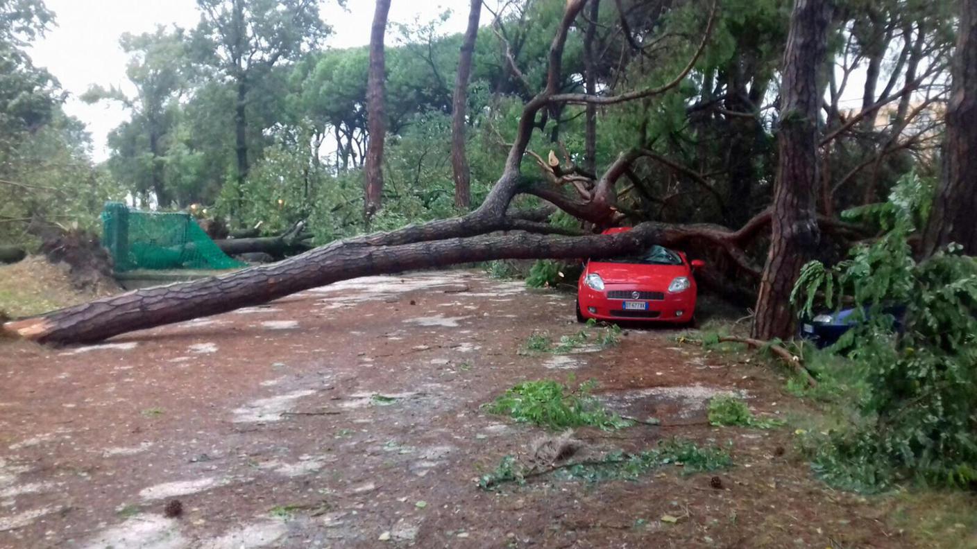 Danni all'ambiente ed agli autoveicoli