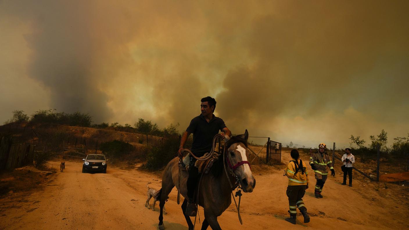 Un residente fugge a cavallo da un incendio boschivo in corso a Vina del Mar