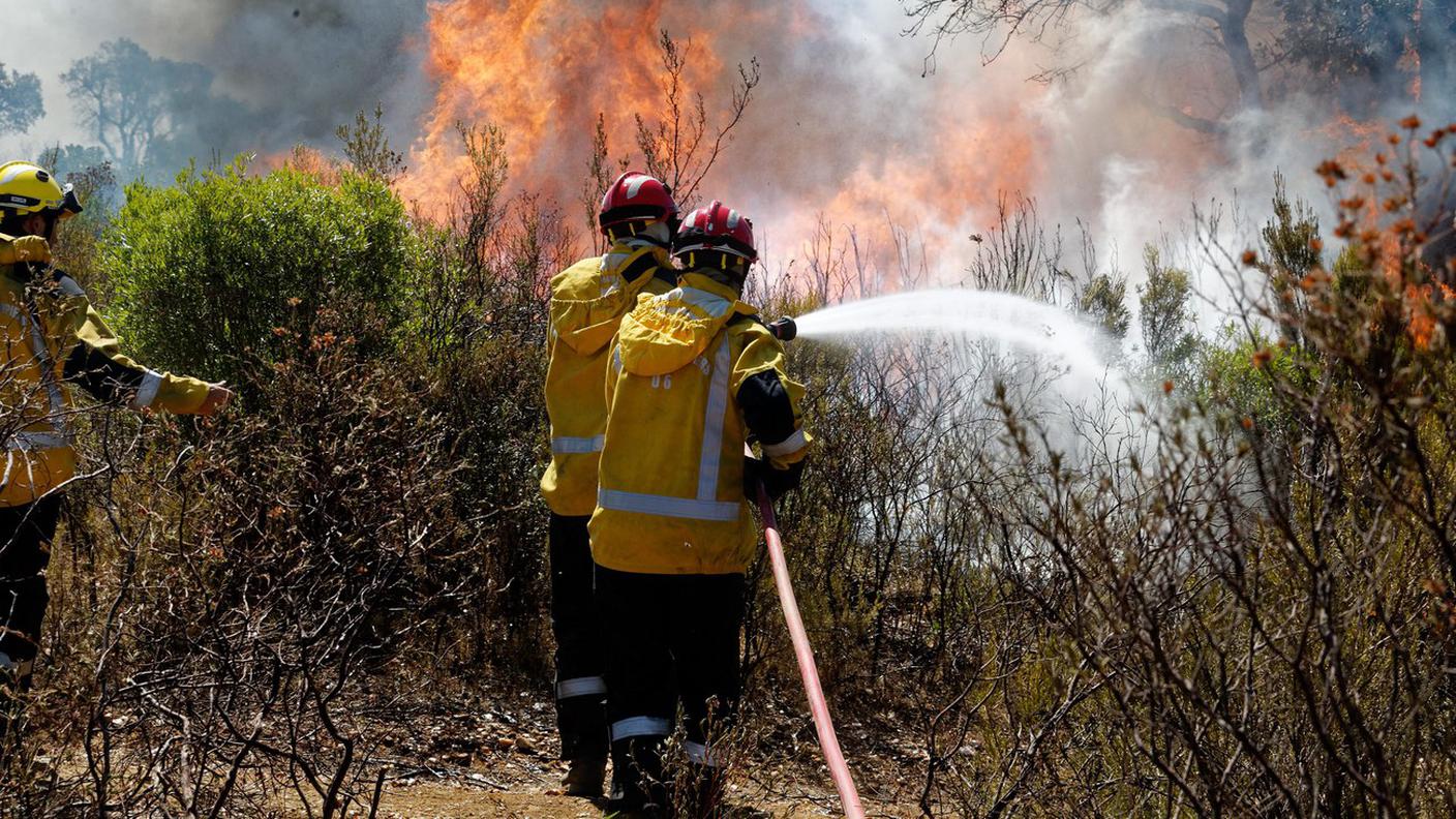 Le fiamme hanno devastato diversi boschi