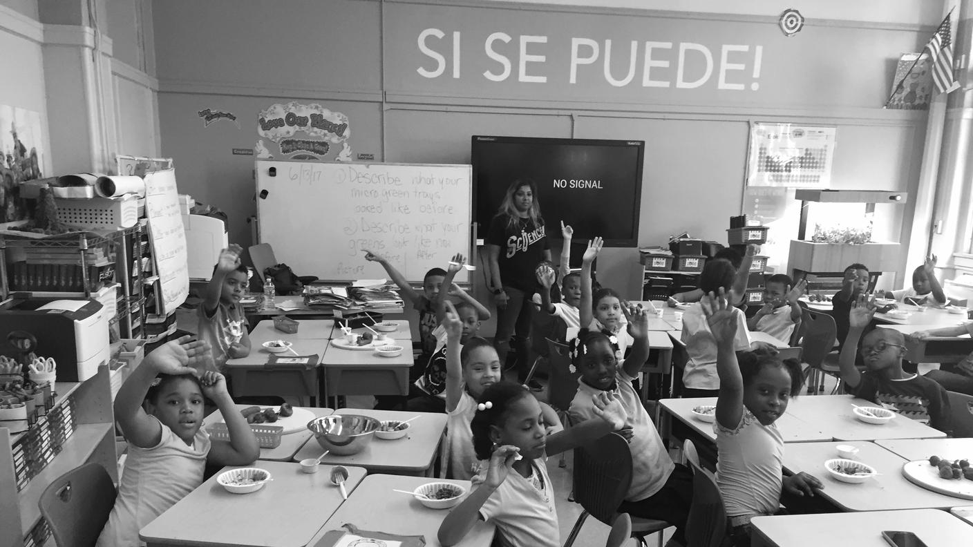 COLORE E SAPORE - Gli scolari di questa scuola sono tutti afro-americani e ispanici. Quasi nessuno di loro ha mai assaggiato alcun tipo di verdure