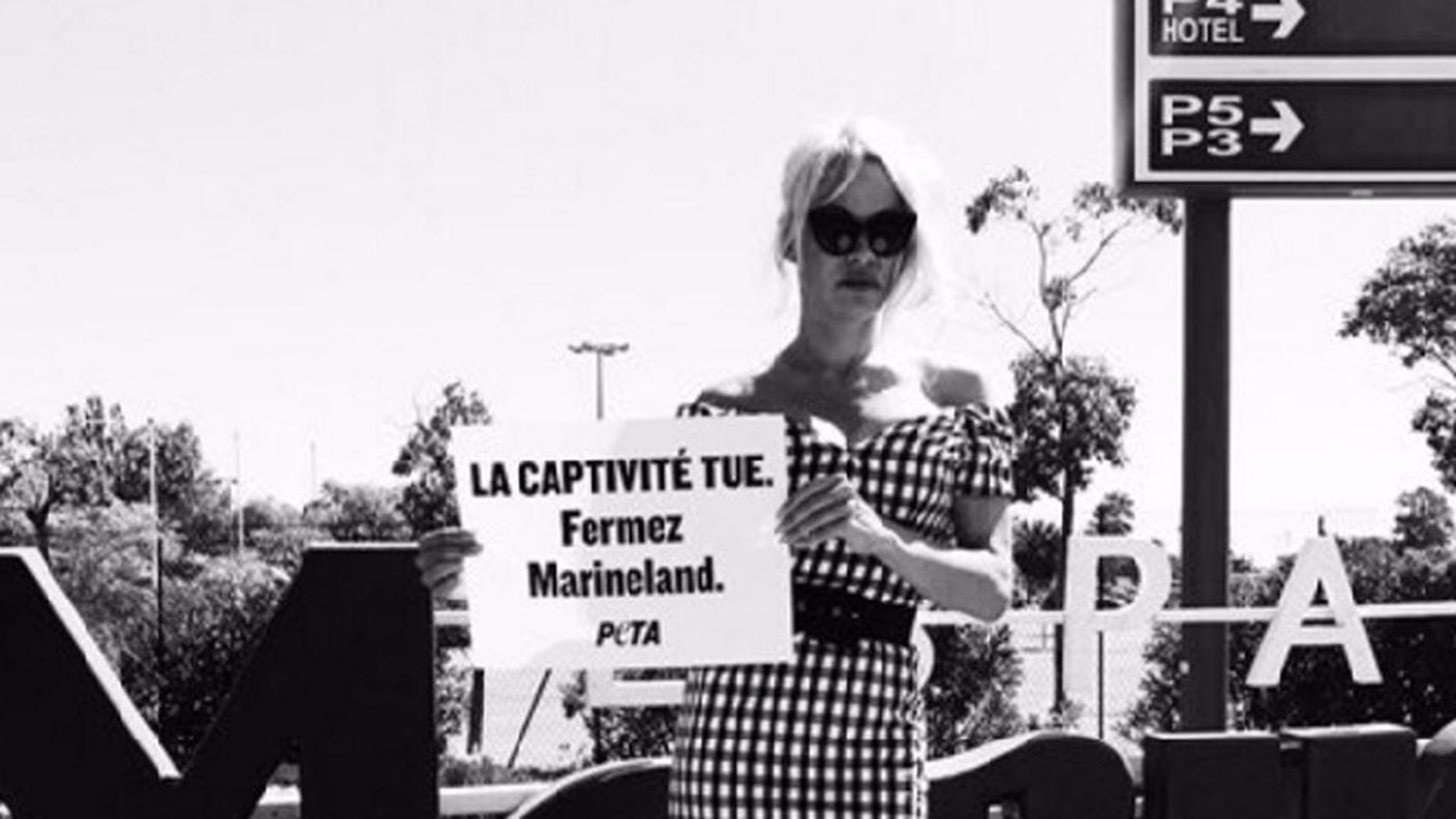 Dalla parte degli animali