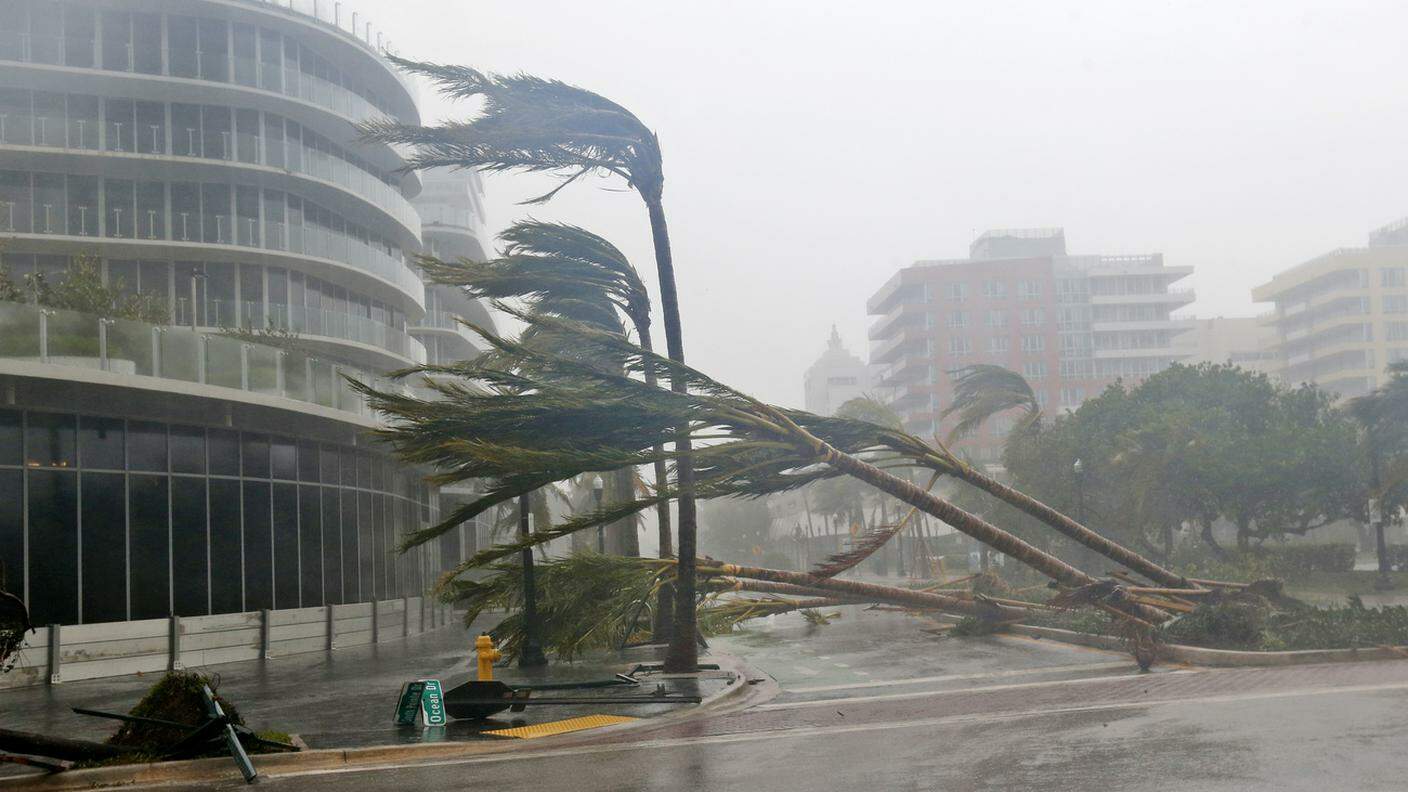 Alberi abbattuti dalle raffiche di vento nelle strade di Miami 