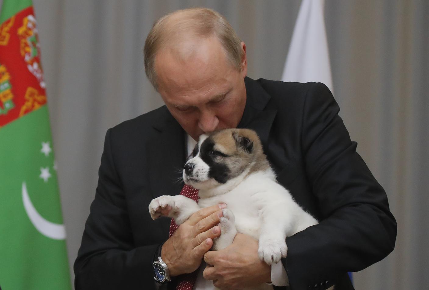 Vladimir Putin.JPG