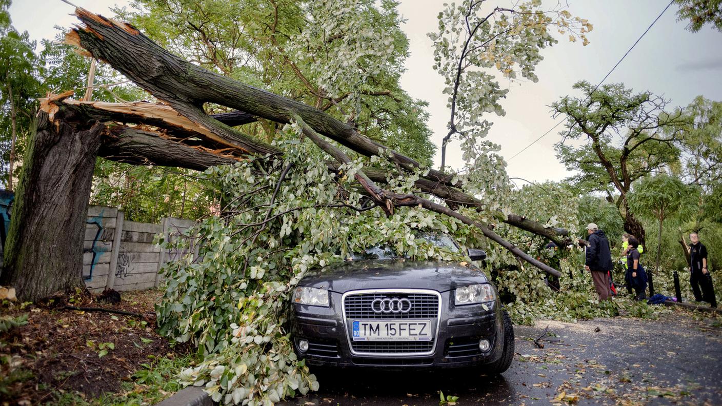 Un'immagine scattata nei pressi di Timisoara
