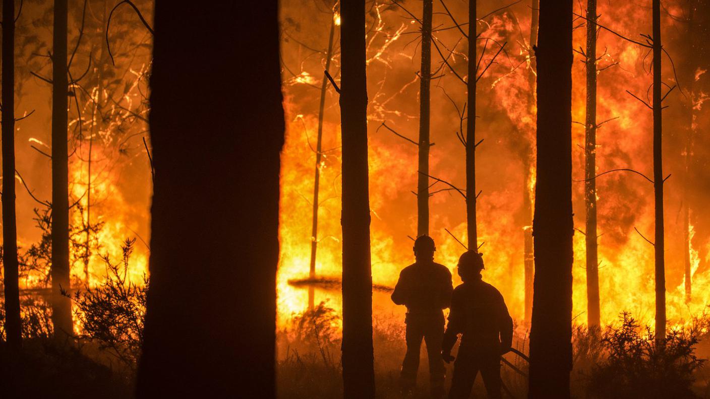 Boschi in fiamme a Vieira de Leiria