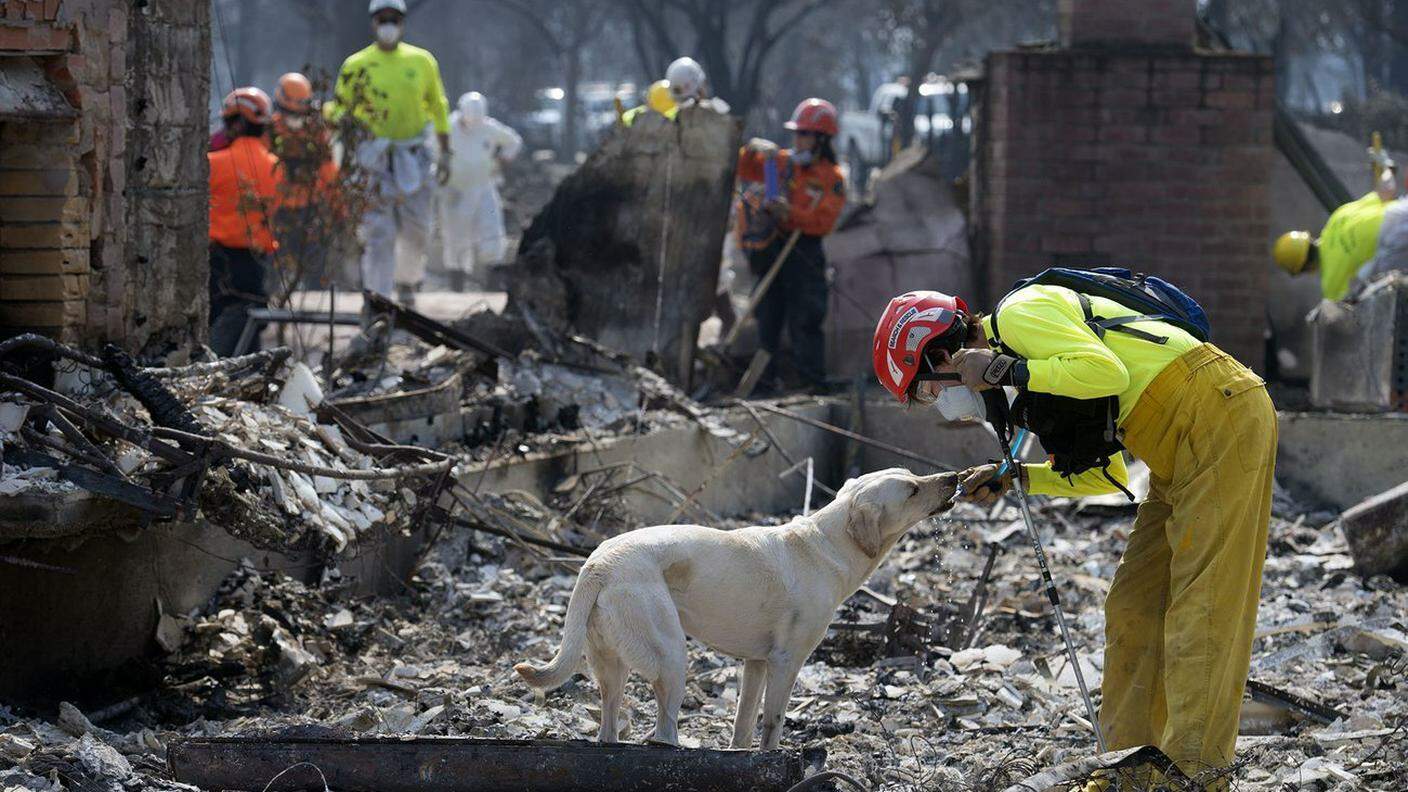 Un soccorritore disseta un cane impegnato nella ricerca dei dispersi