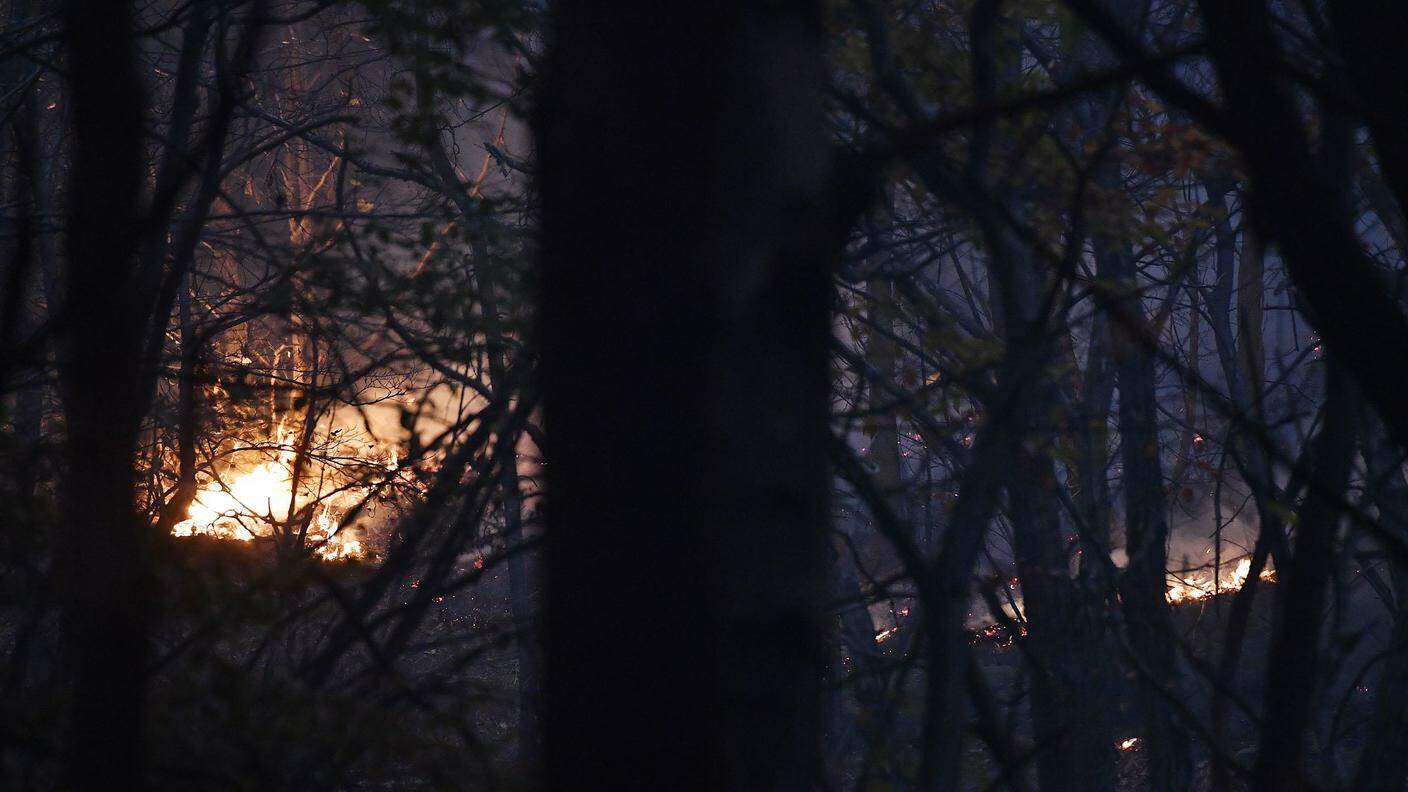 Le fiamme stanno devastando ampie zone boschive in varie province piemontesi
