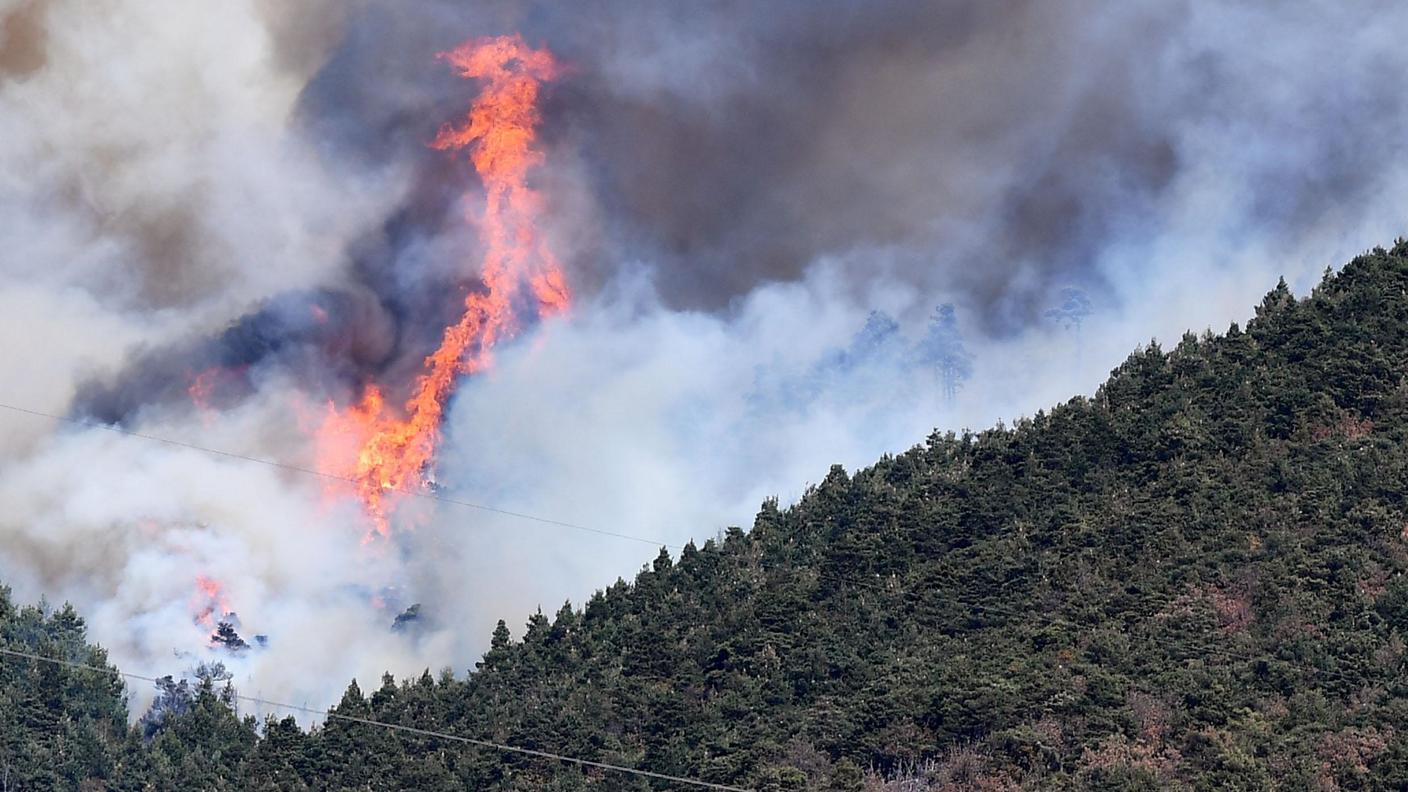 Le fiamme hanno incenerito ampie aree di boschi, pascoli e foreste