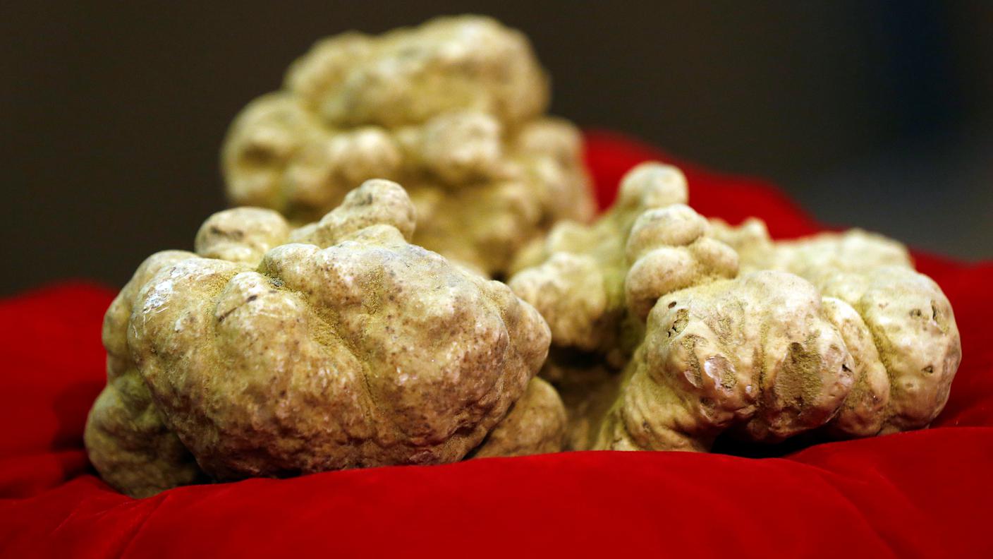 Il tartufo battuto all'asta per 75'000 euro