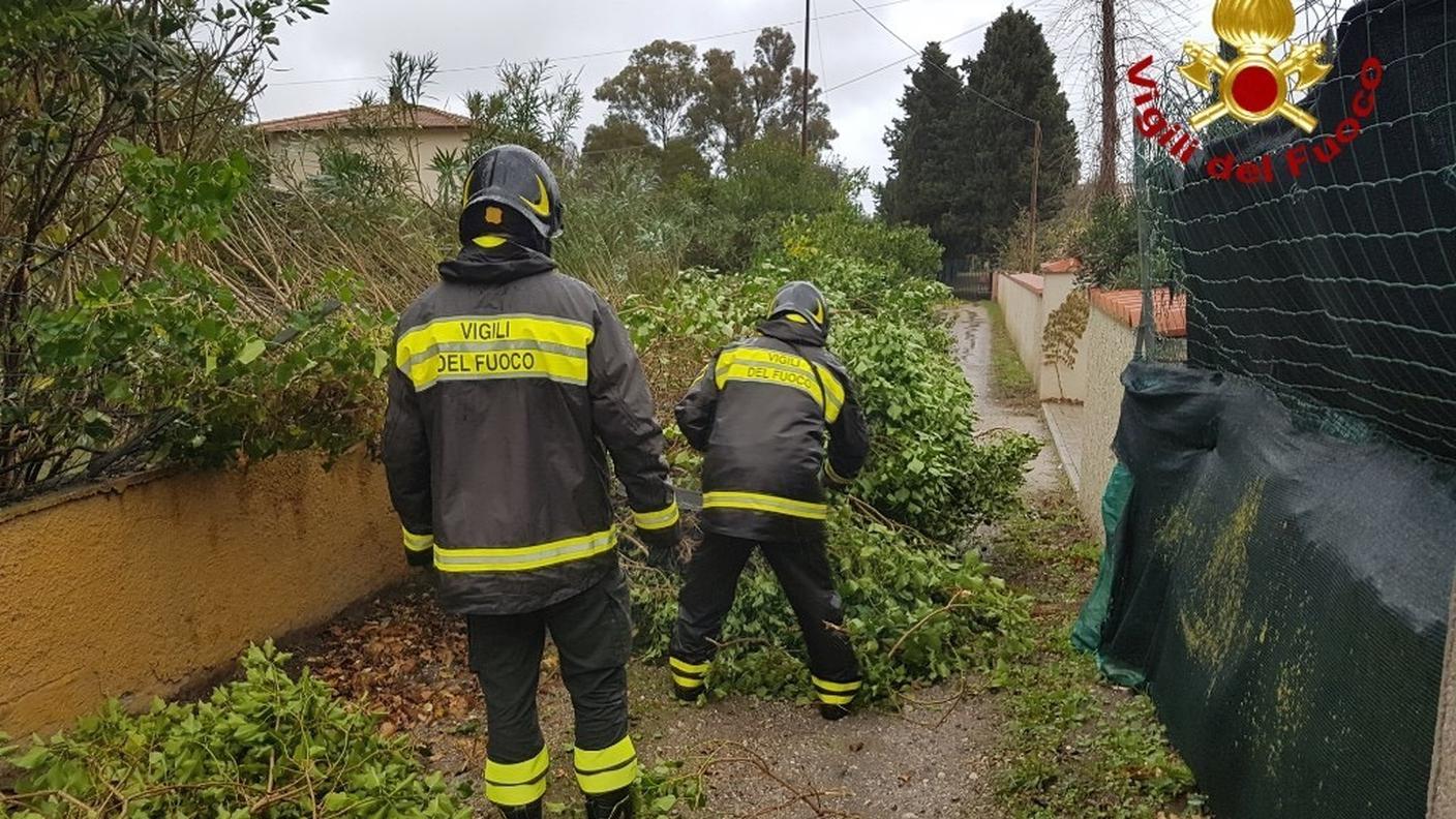 Il vento violento lunedì ha sradicato alberi e provocato danni pure sull'isola d'Elba