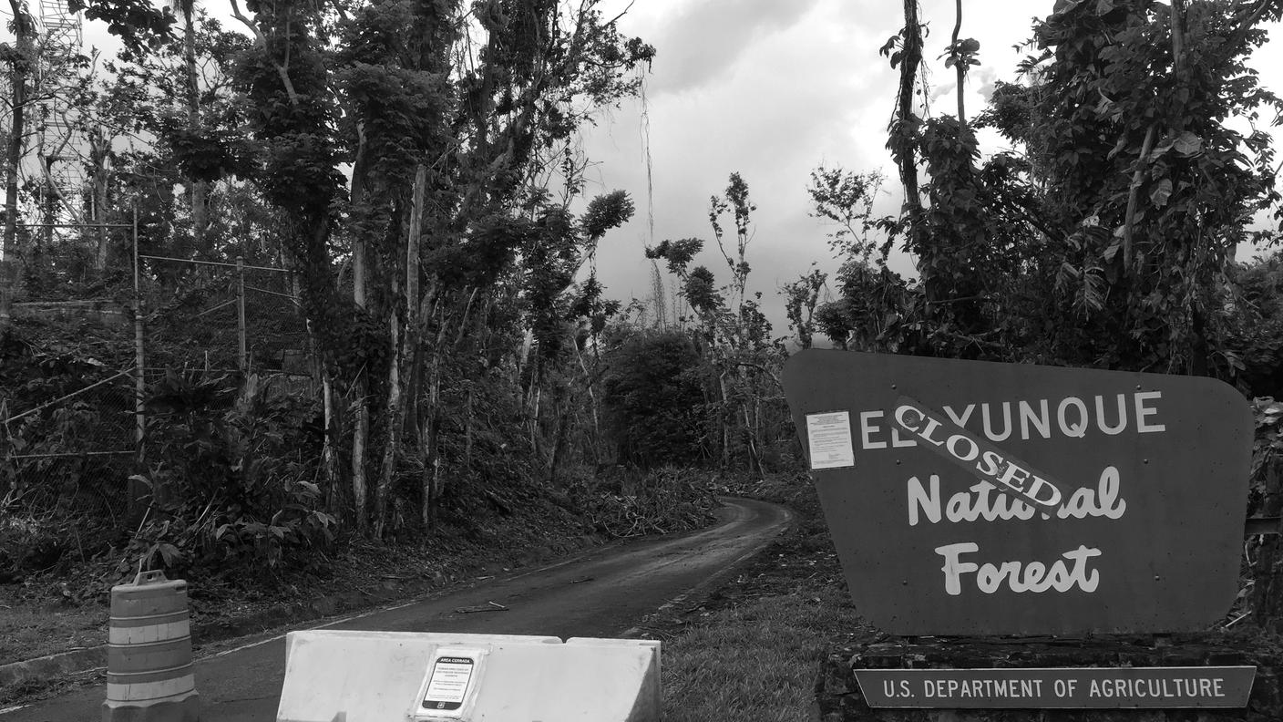 L'ingresso, ora chiuso, alla foresta tropicale El Yunque