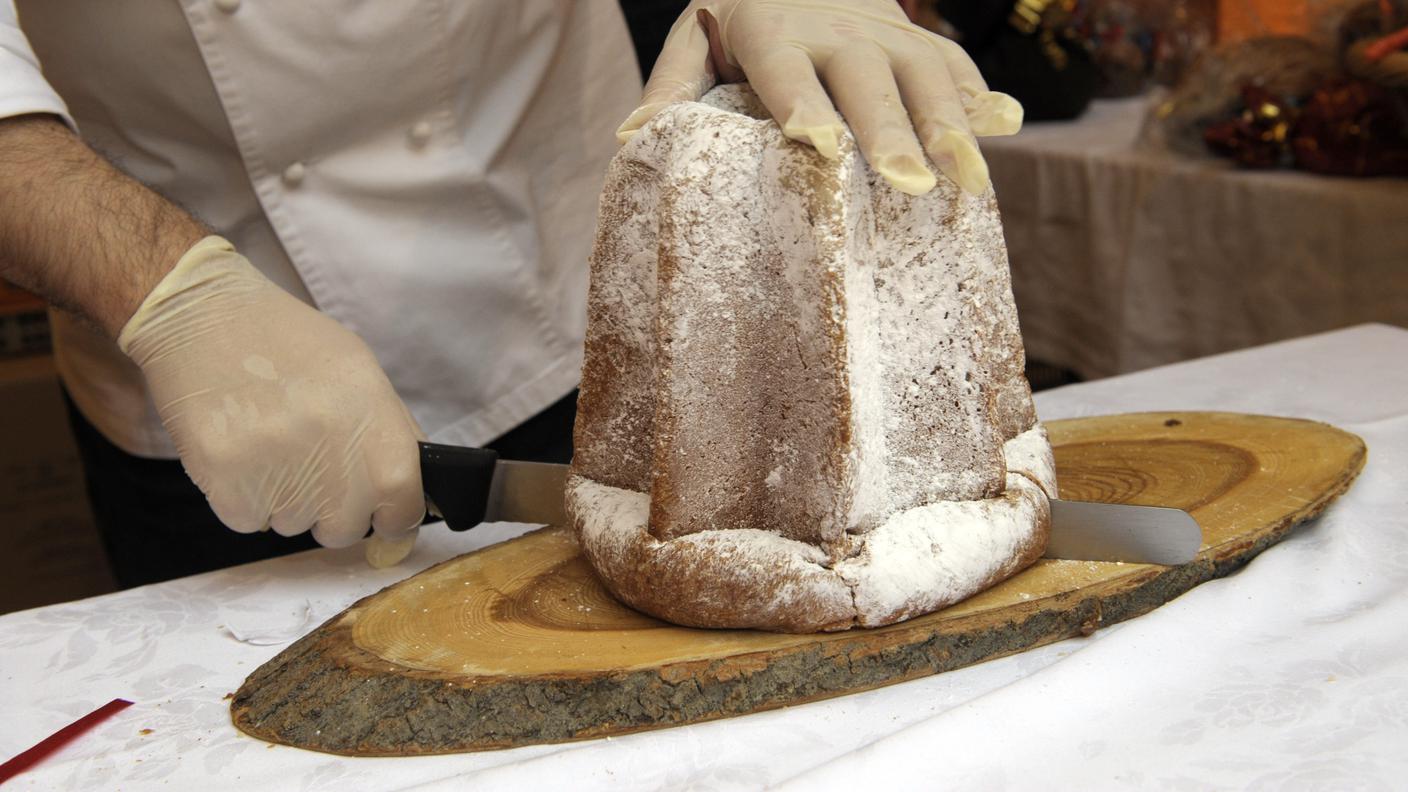 Ricchi di proteine ed ecosostenibili