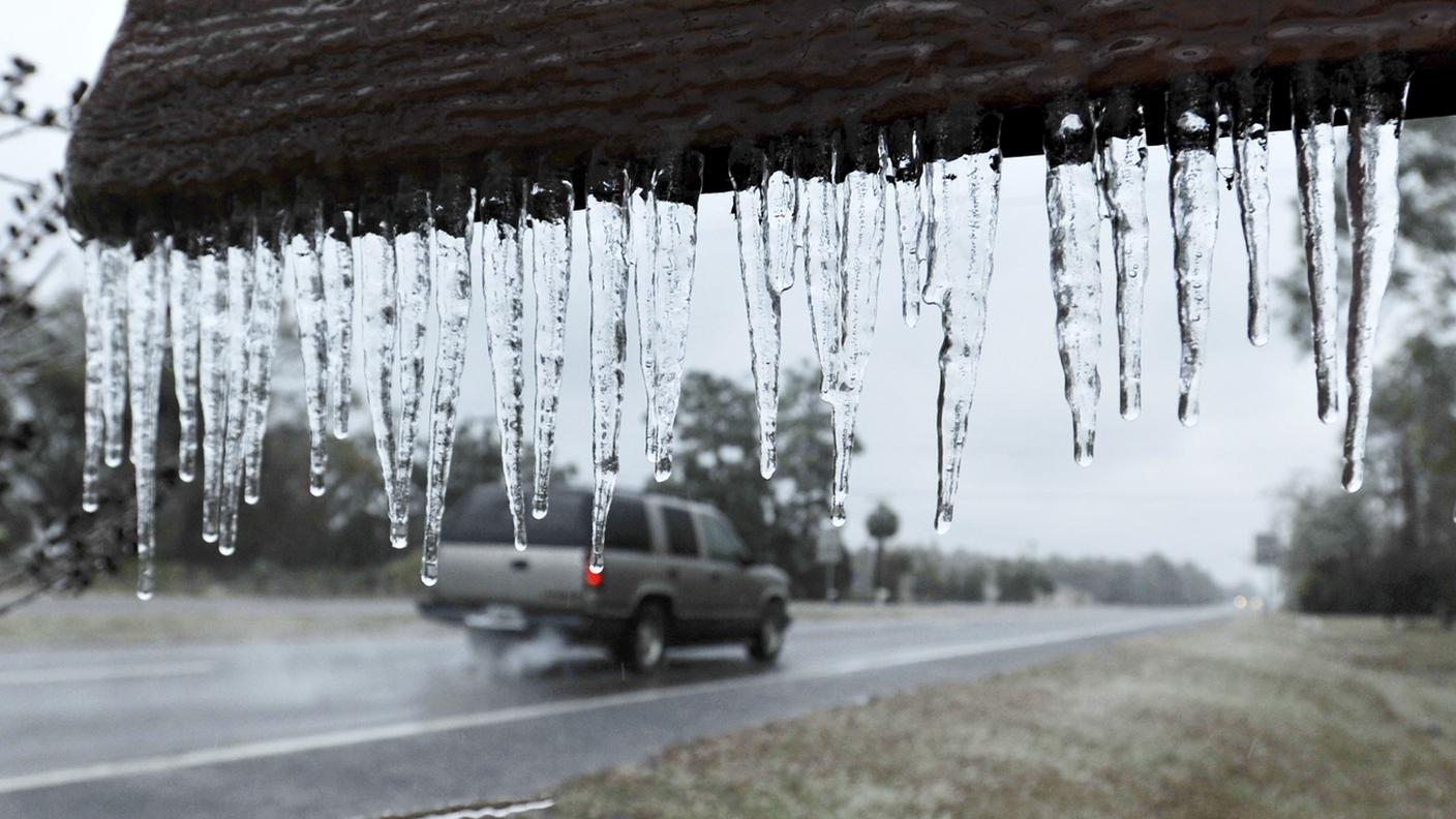 Temperature sotto lo zero in Florida